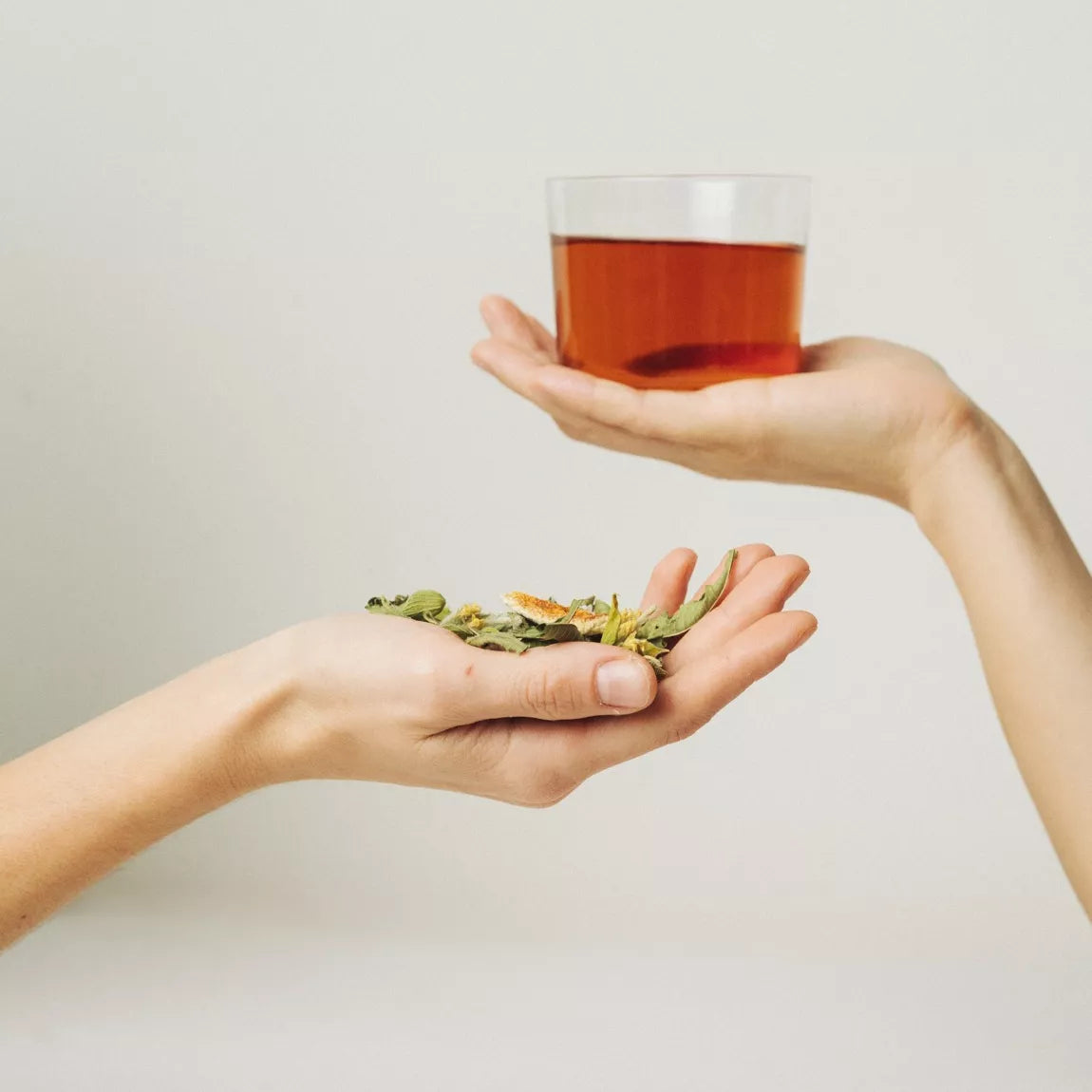 Christmas - Drink it, Plant it - Organic Herbal Tea Blend