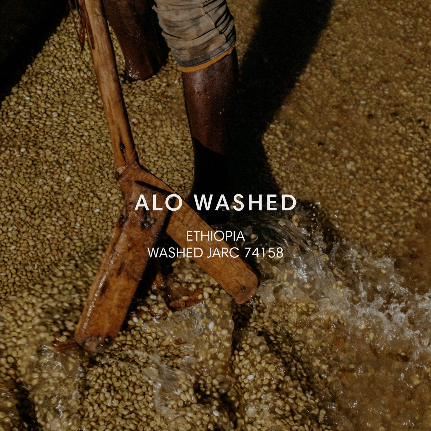 Mazelab - Alo Washed