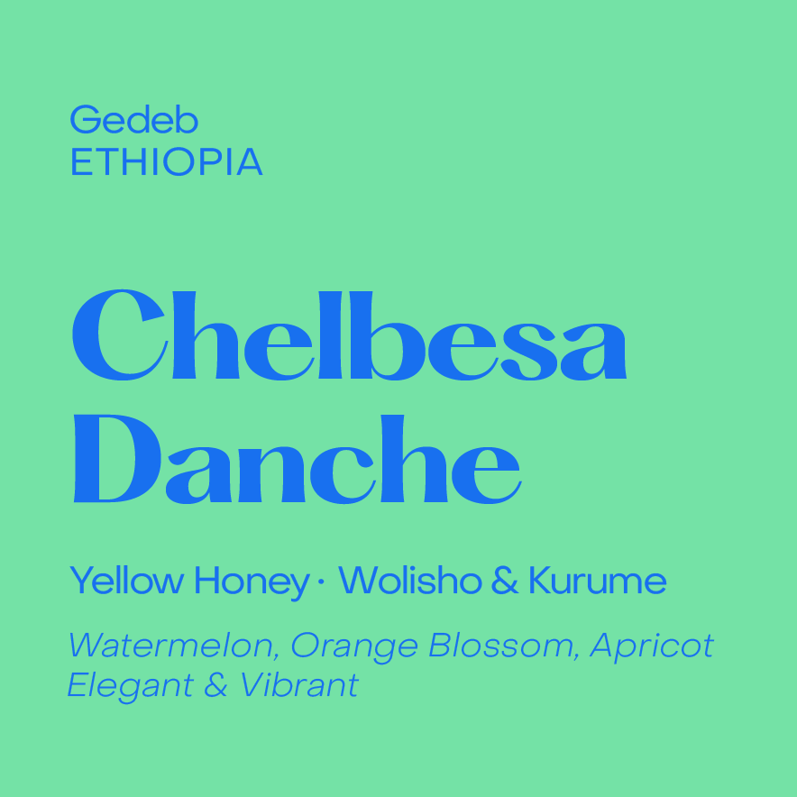SUBTEXT Ethiopia - Chelbesa Danche (250g)