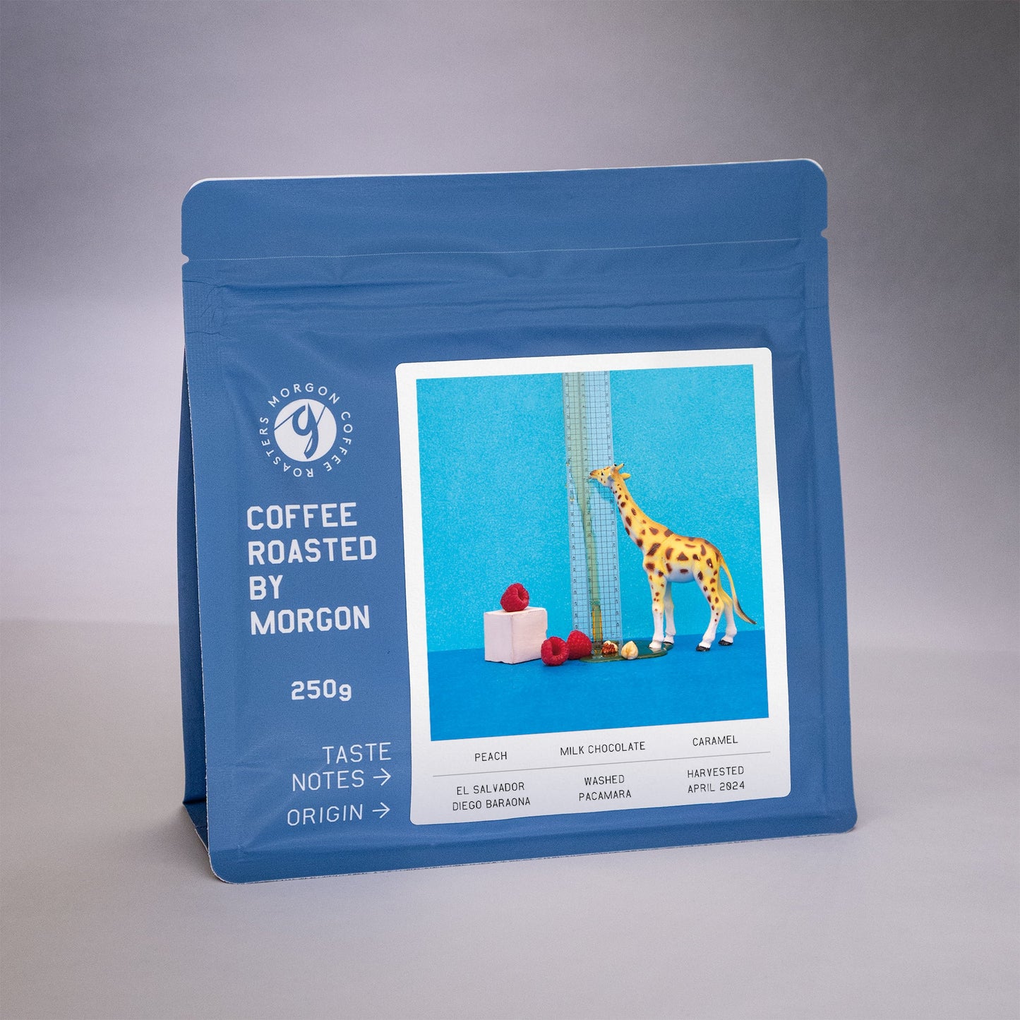 DIEGO BARAONA, WASHED