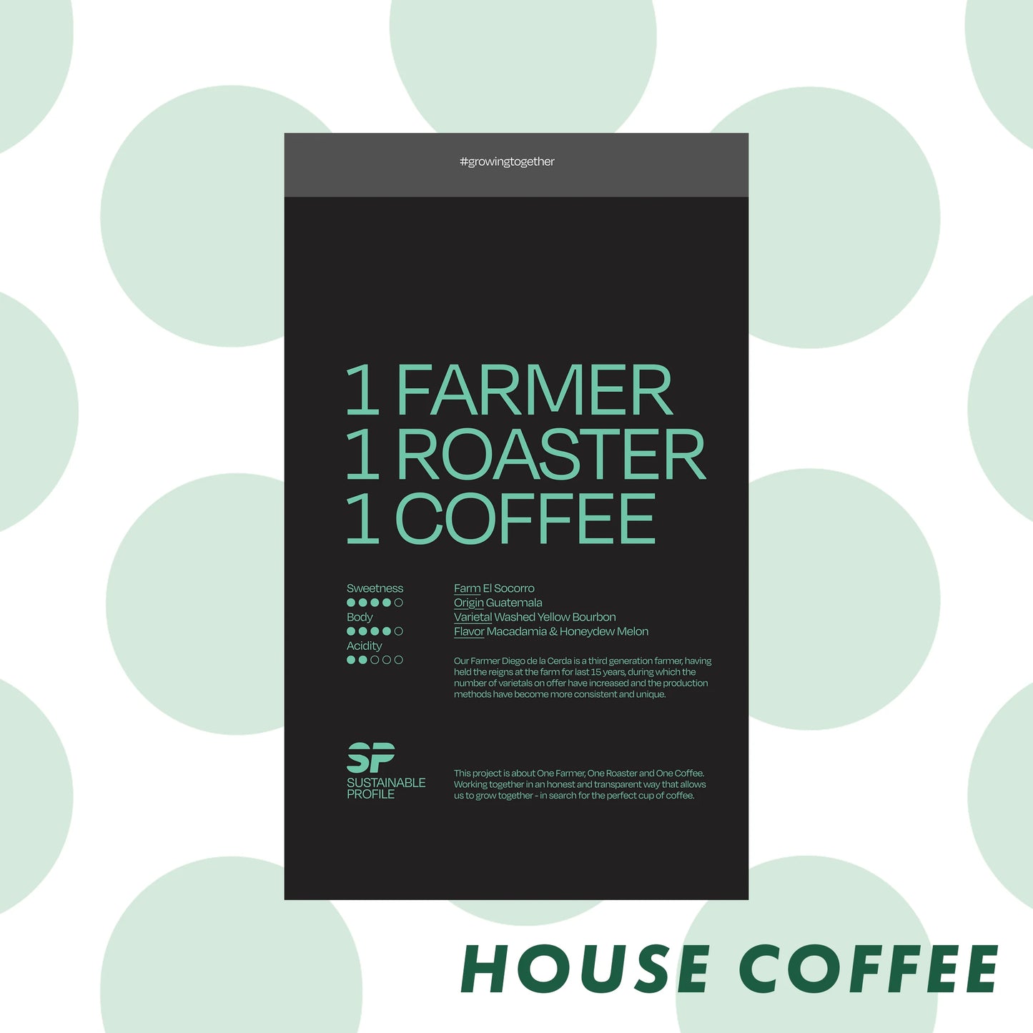 April Sustainable Profile Coffee - Guatemala
