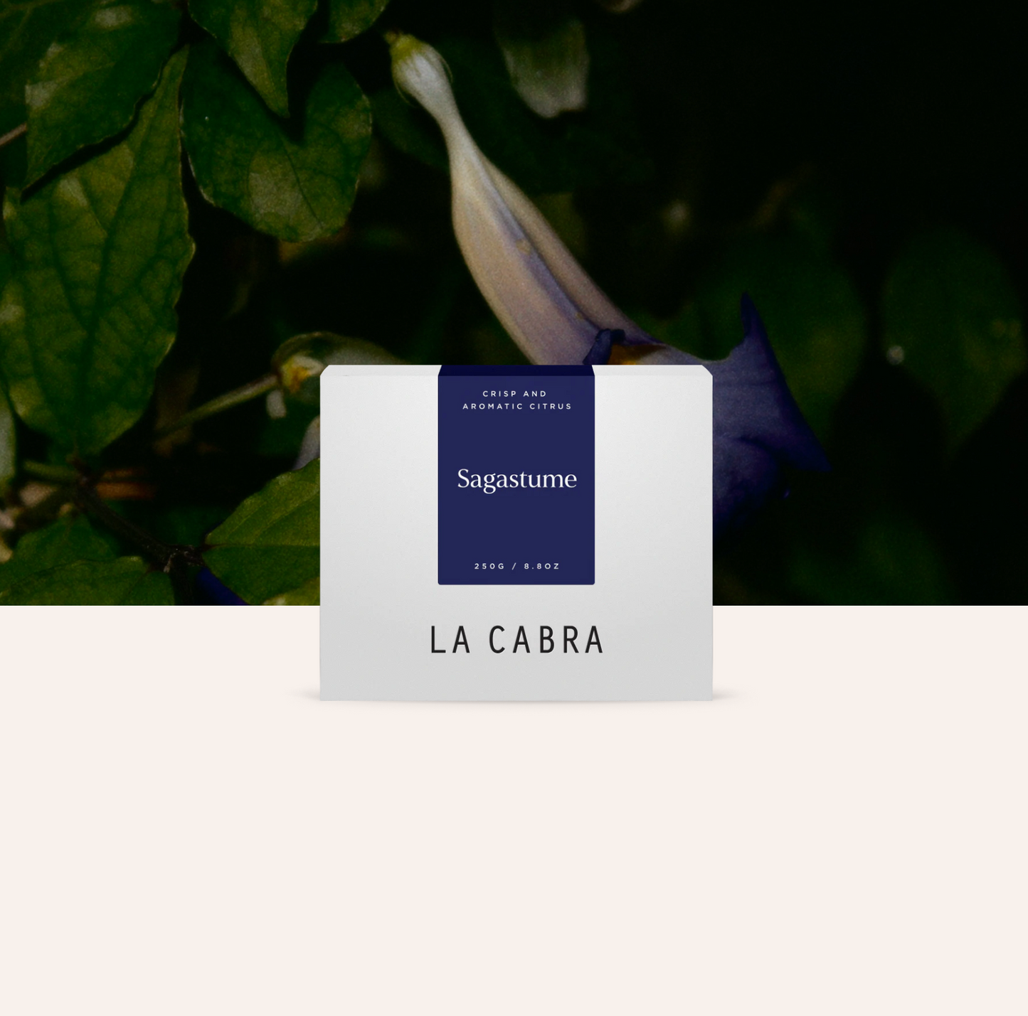 La Cabra - Sagastume Washed Parainema