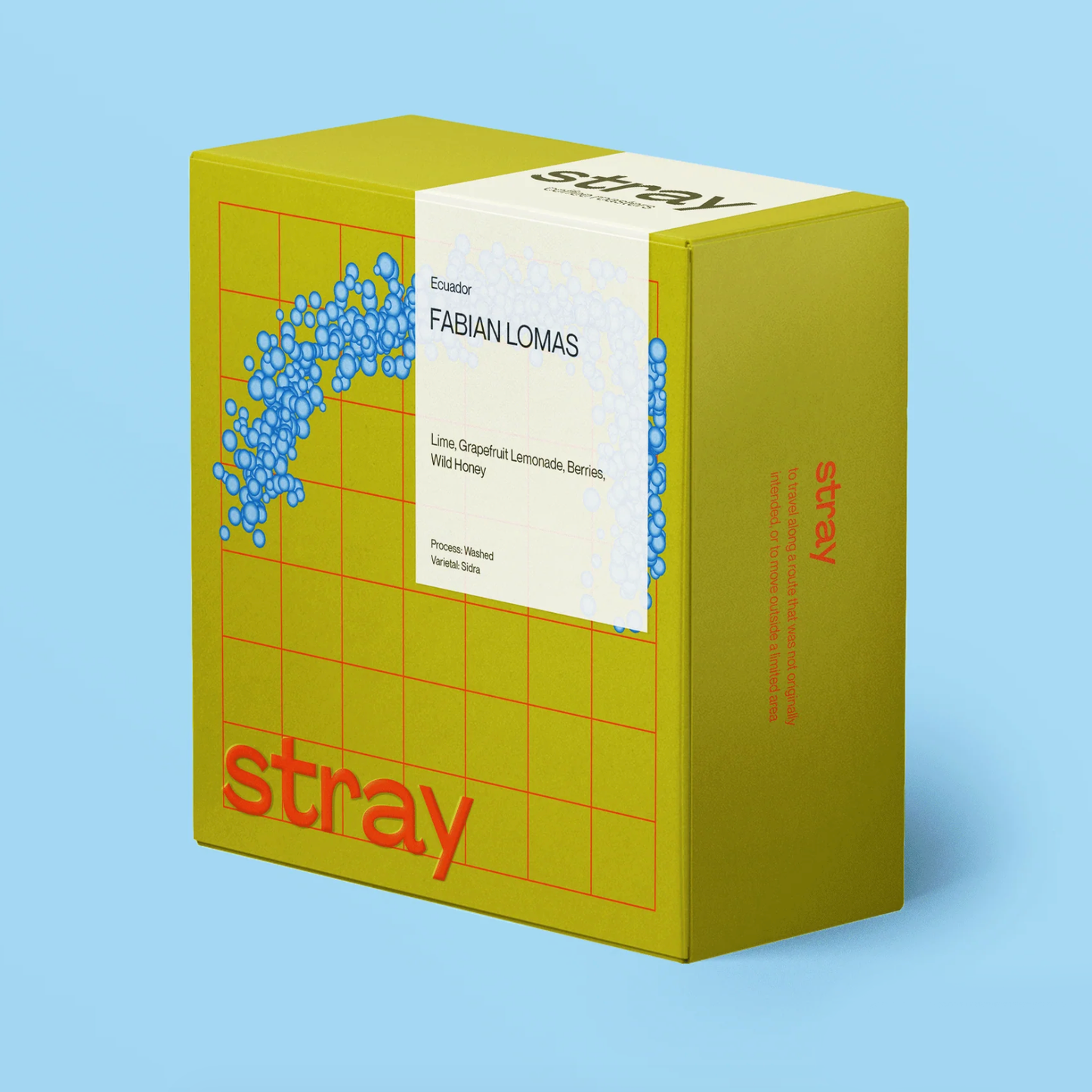 Stray - Fabian Lomas