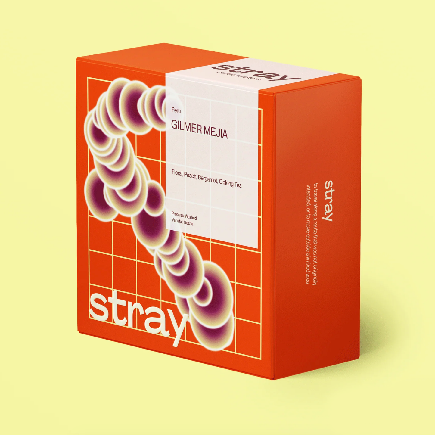 Stray - Gilmer Mejia
