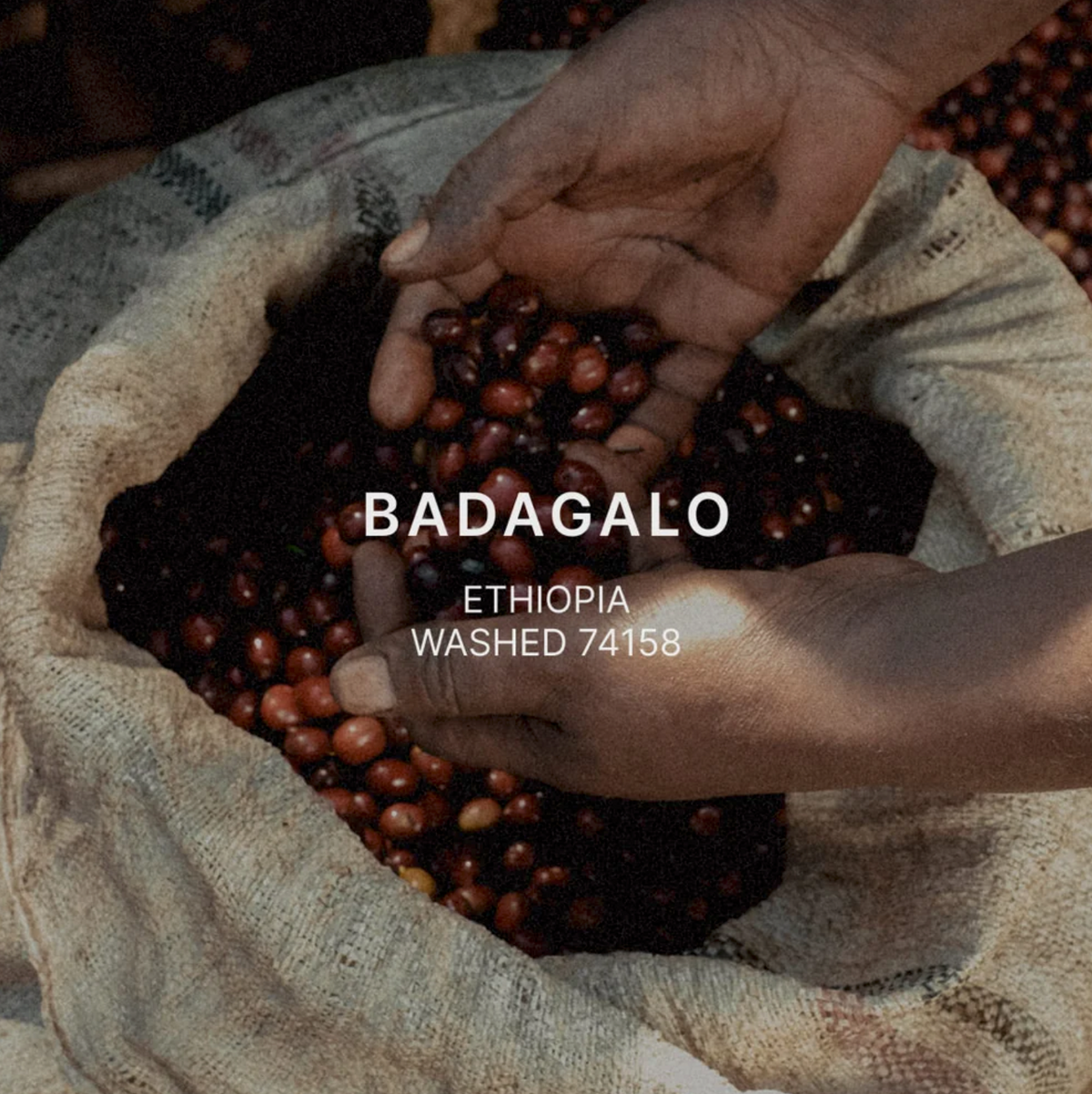 BAGALO by Mazelab Coffee