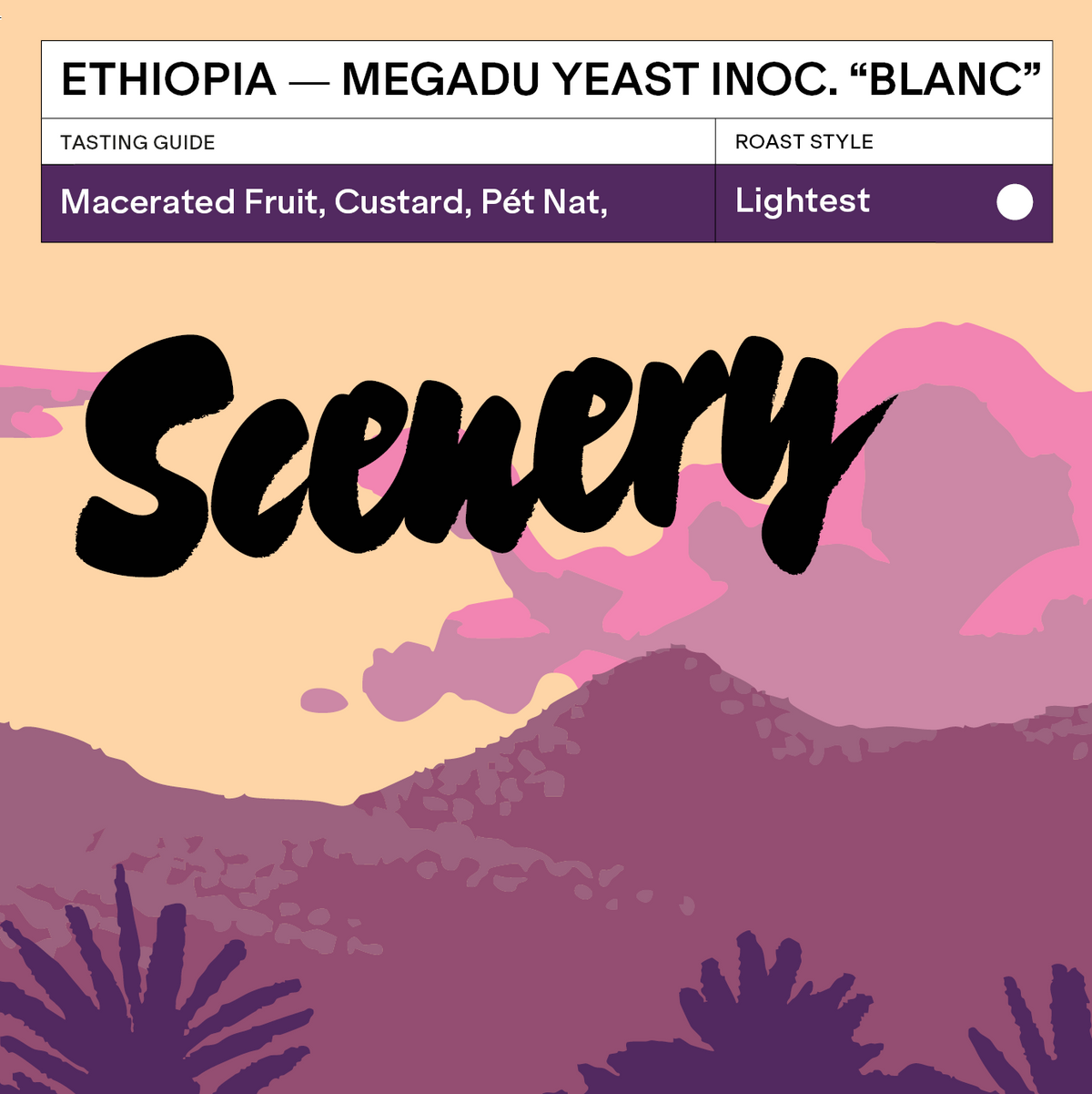Ethiopia - Megadu Yeast Inoculated Natural "Blanc" Lot-B (100g)