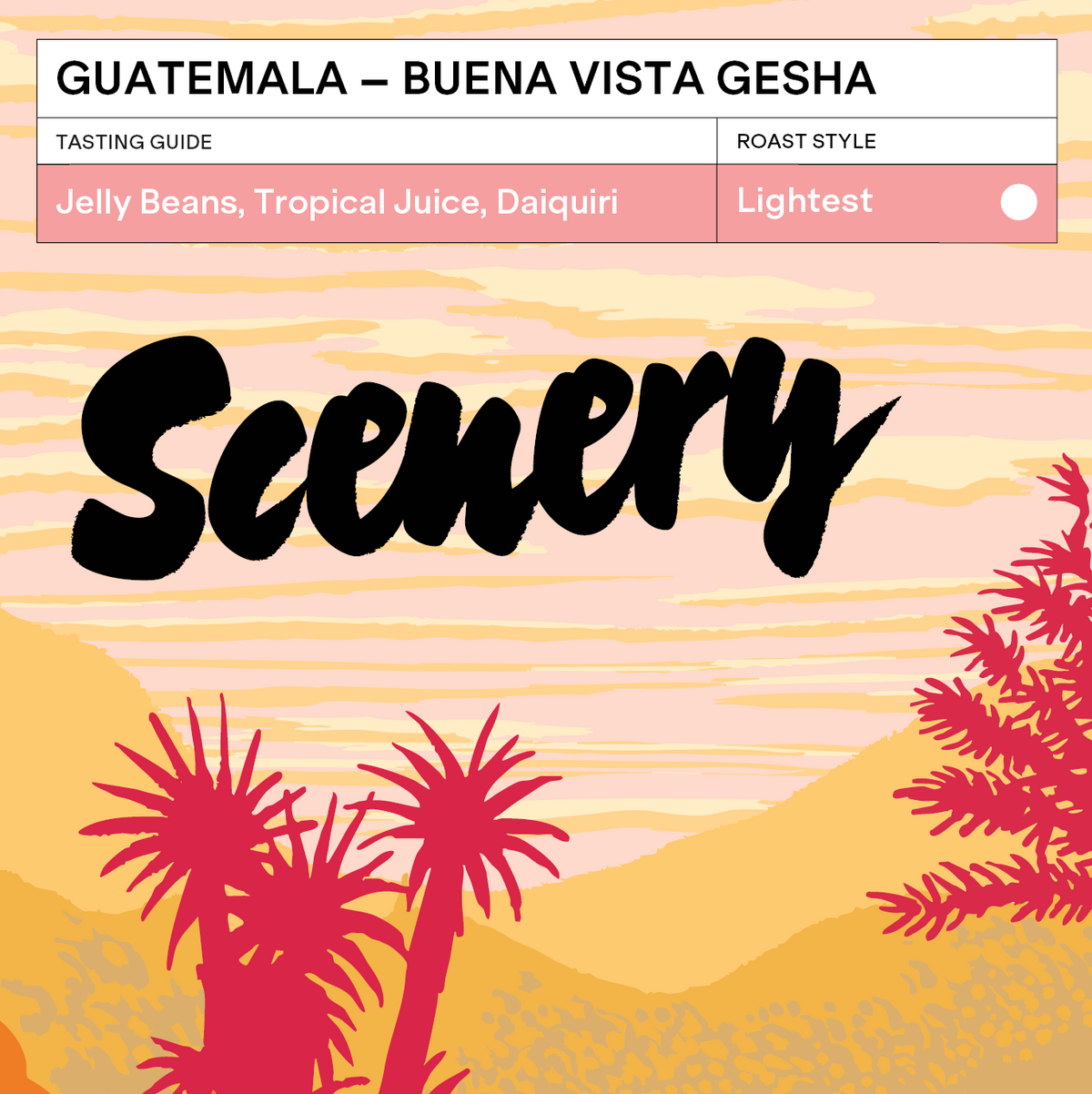 Guatemala - Fredy Orantes' Buena Vista Gesha (100g)