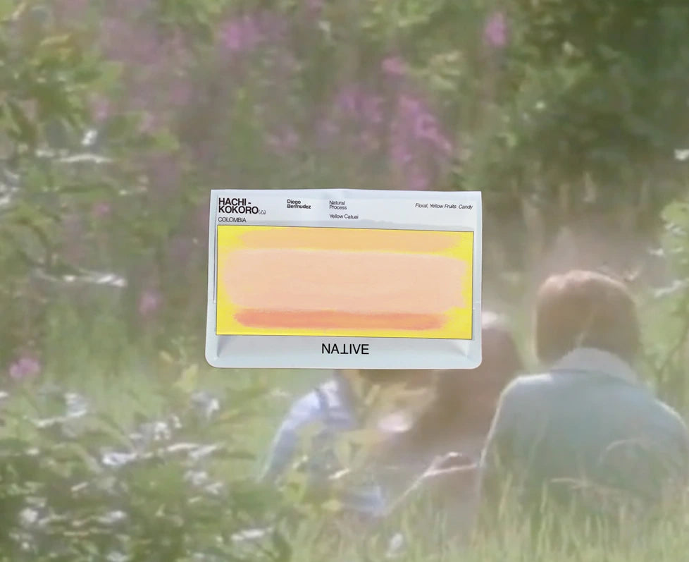 NATIVE - HACHI Kokoro