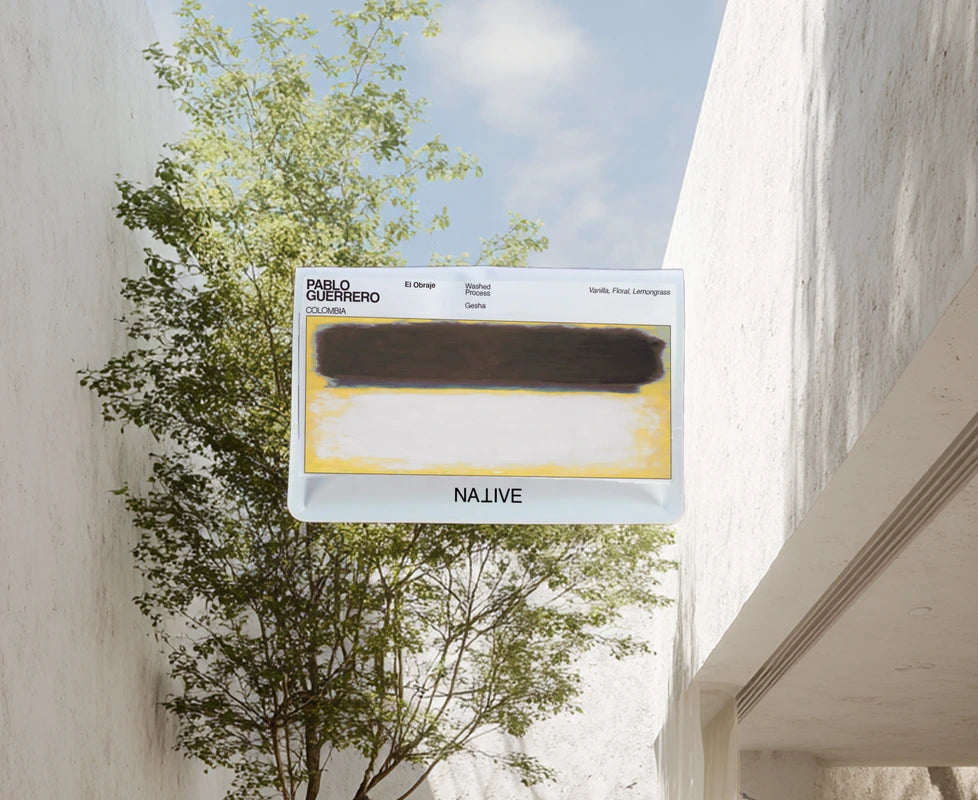 NATIVE - Pablo Guerrero