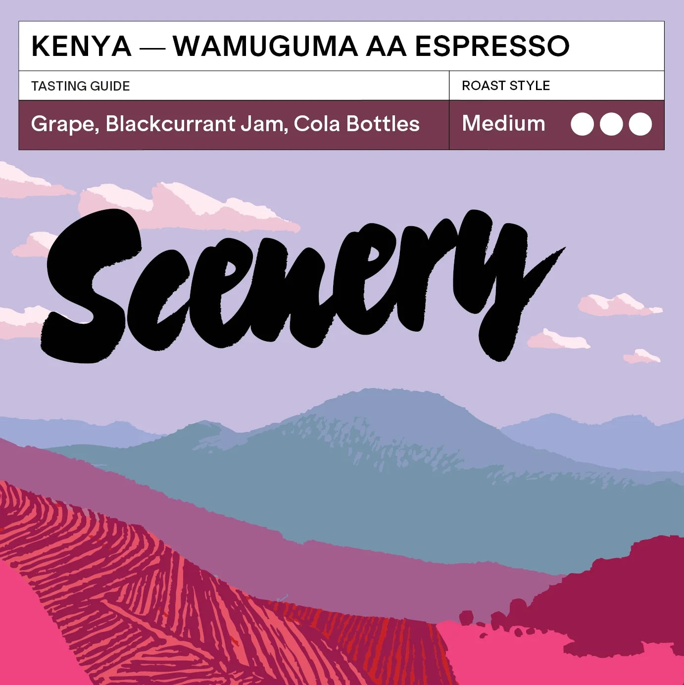 Kenya - Karumandi AA