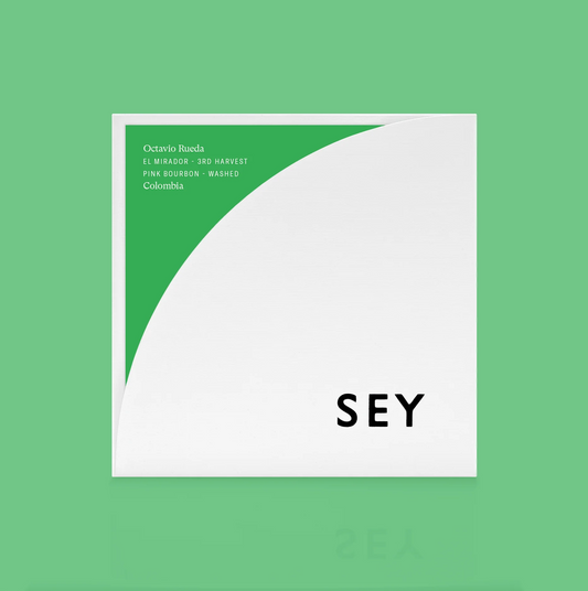 SEY - Octavio Rueda