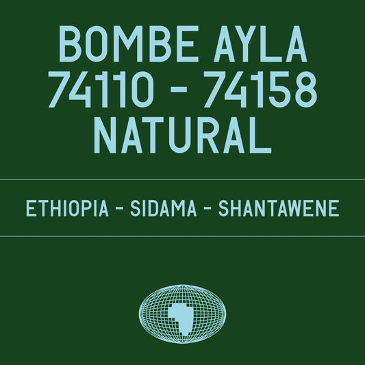 DATURA - Bombe Ayla 74110 - 74158 Natural