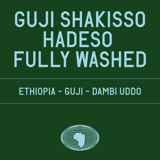 DATURA - Guji Shakisso Hadeso Fully Washed