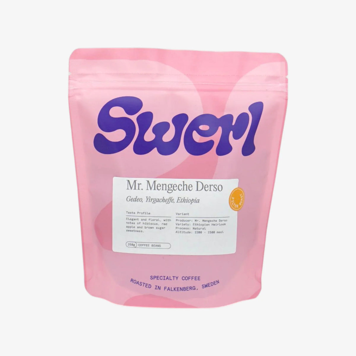 SWERL - Ethiopia Mr. Mengeche Derso