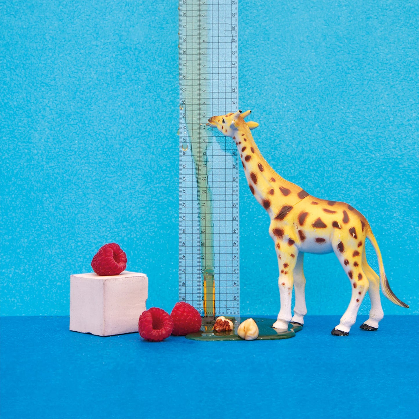 DIEGO BARAONA, WASHED