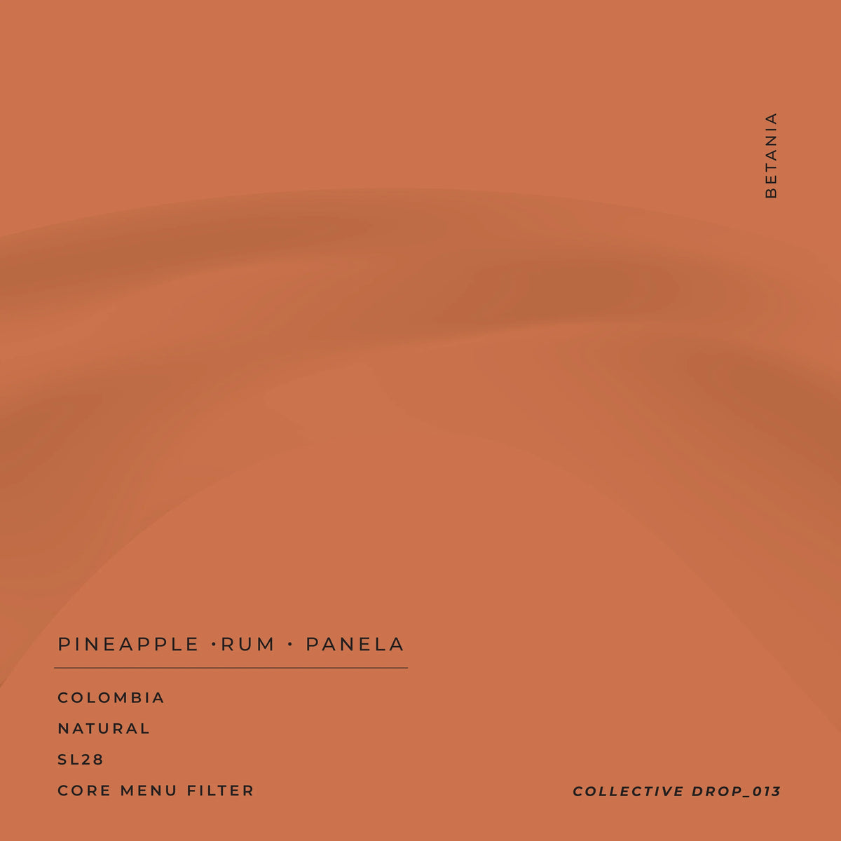 SIP Collective - Colombia Betania