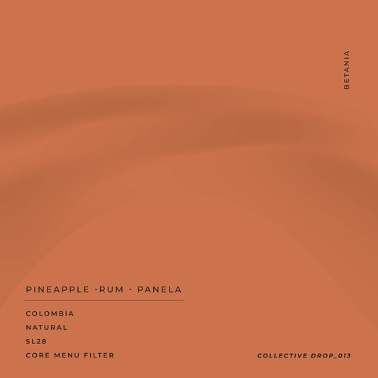 SIP Collective - Colombia Betania