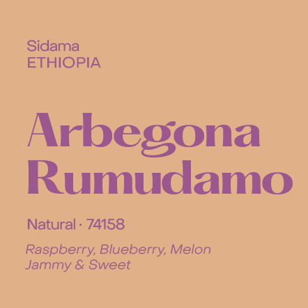 SUBTEXT Ethiopia - Arbegona Rumudamo Natural (250g)