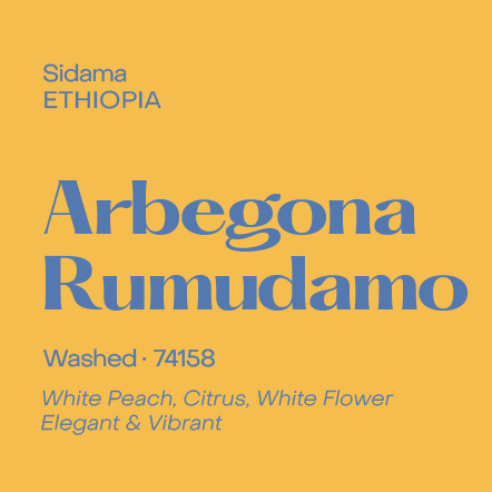 SUBTEXT Ethiopia - Arbegona Rumudamo Washed (250g)