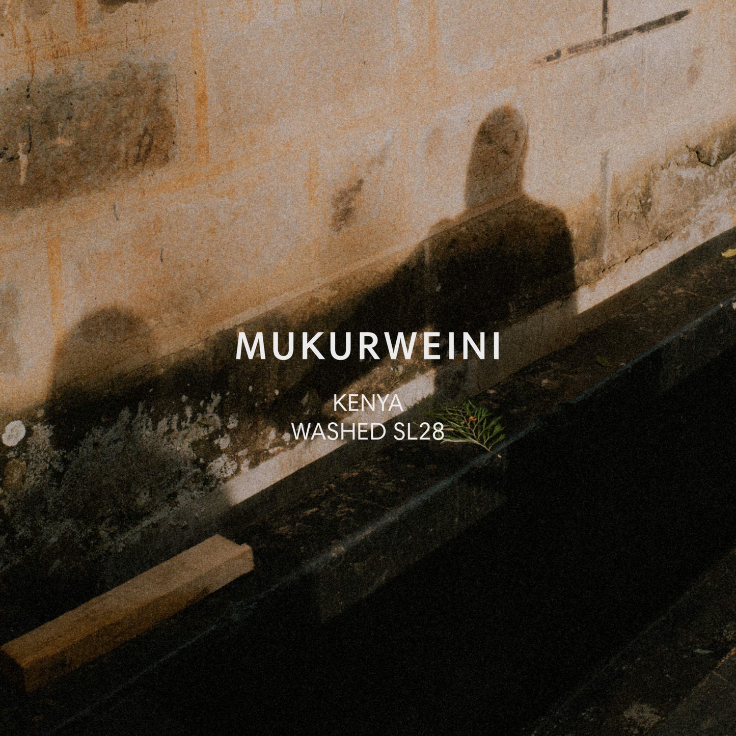 Mazelab - Mukurweini Washed