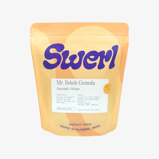 SWERL - Ethiopia Mr. Bekele Gemeda