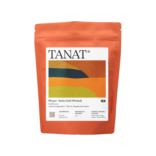Ethiopia – Banko Gotiti [Washed]