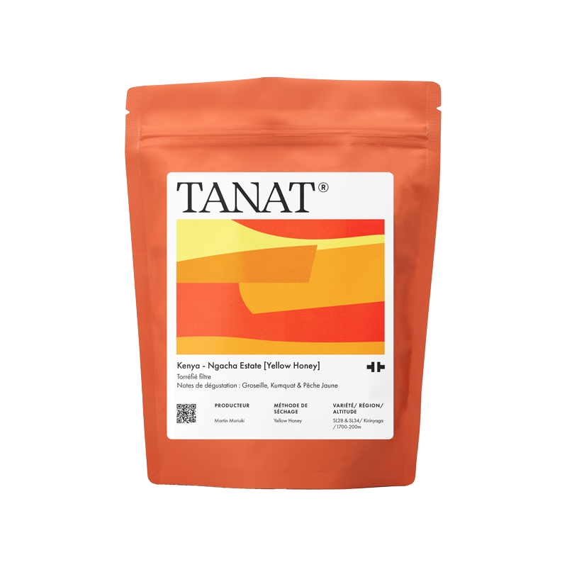 Kenya - NGACHA ESTATE [YELLOW HONEY]