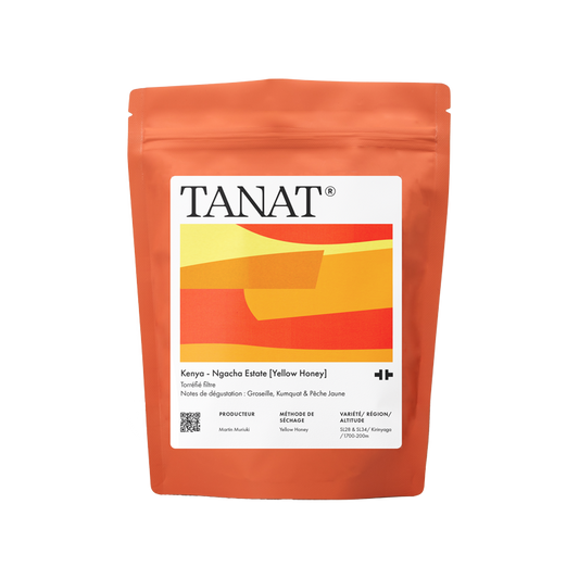 Kenya - NGACHA ESTATE [YELLOW HONEY]