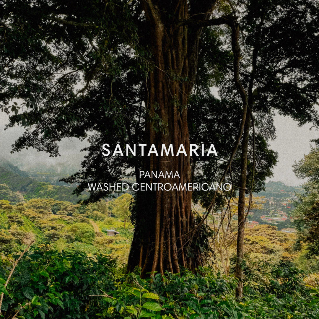 Mazelab - Santamaria