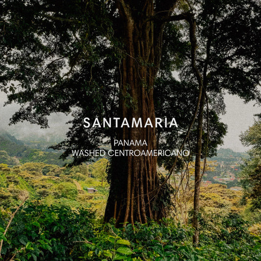 Mazelab - Santamaria