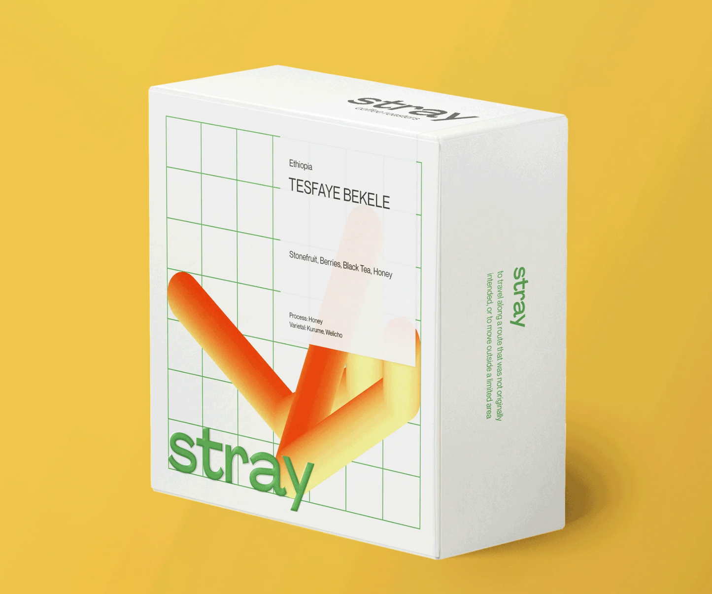 Stray - Tesfaye Bekele