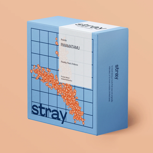 Stray - Rwamatamu