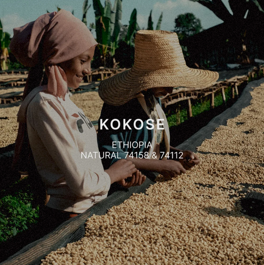 KOKOSE by Mazelab Coffee