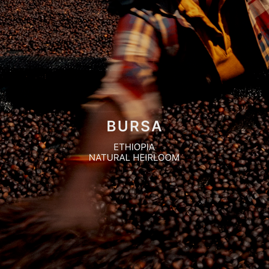 BURSA by Mazelab Coffee