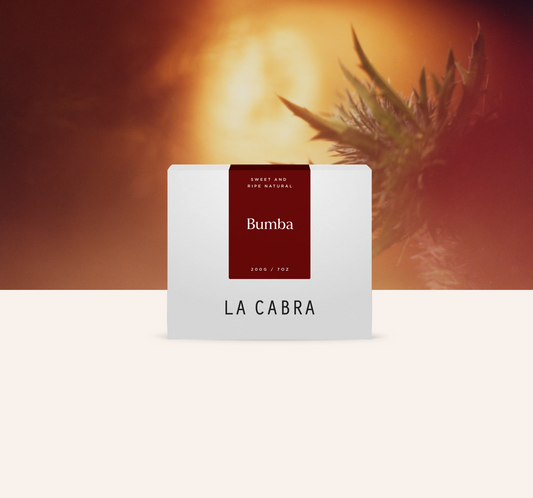 La Cabra - Bumba