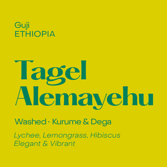 SUBTEXT Ethiopia - Tagel Alemayehu (250g)
