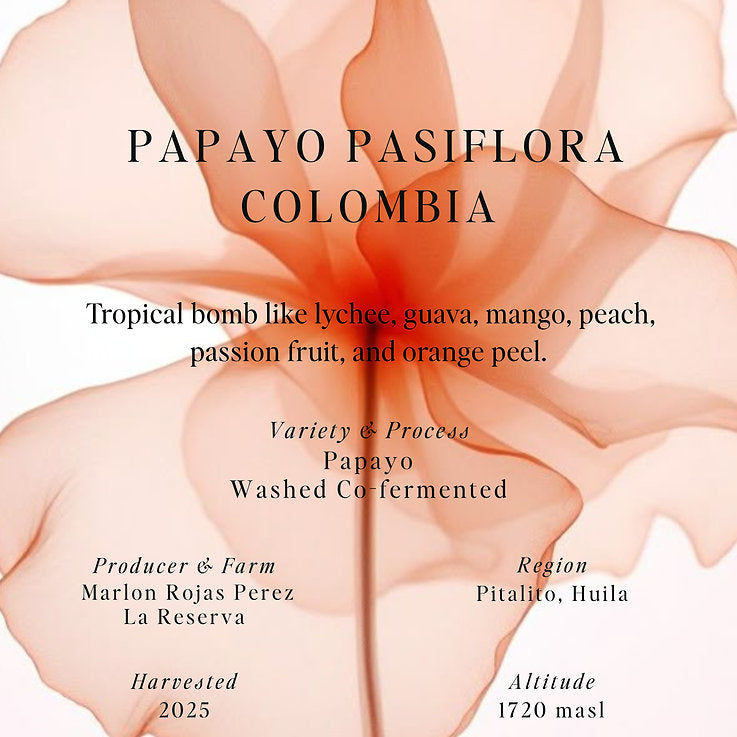 SUMO - Papayo Pasiflora, Washed Co-Fermented, Colombia