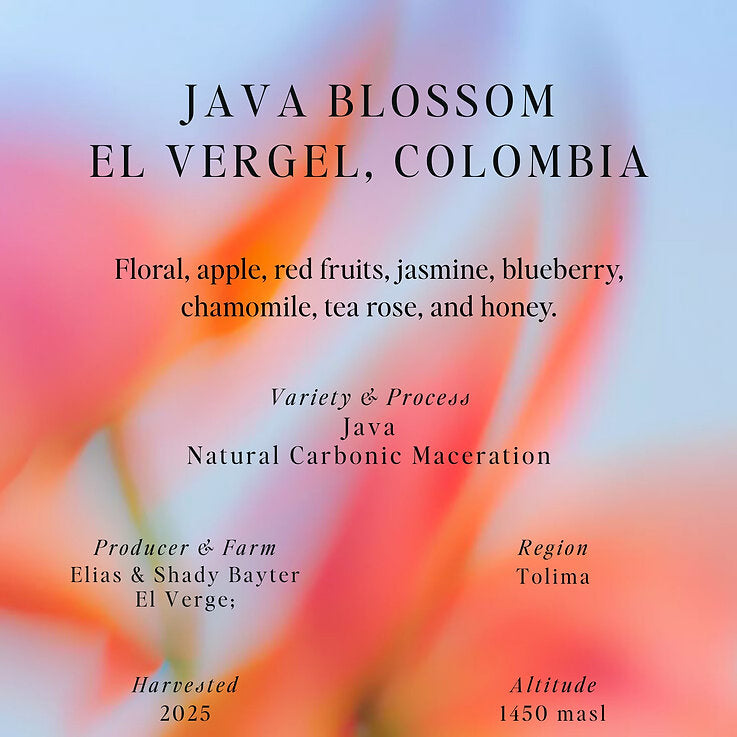 SUMO - Java, Natural CM, El Vergel, Colombia