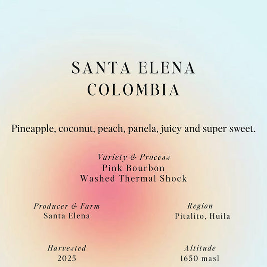 SUMO - Pink Bourbon, Santa Elena, Colombia