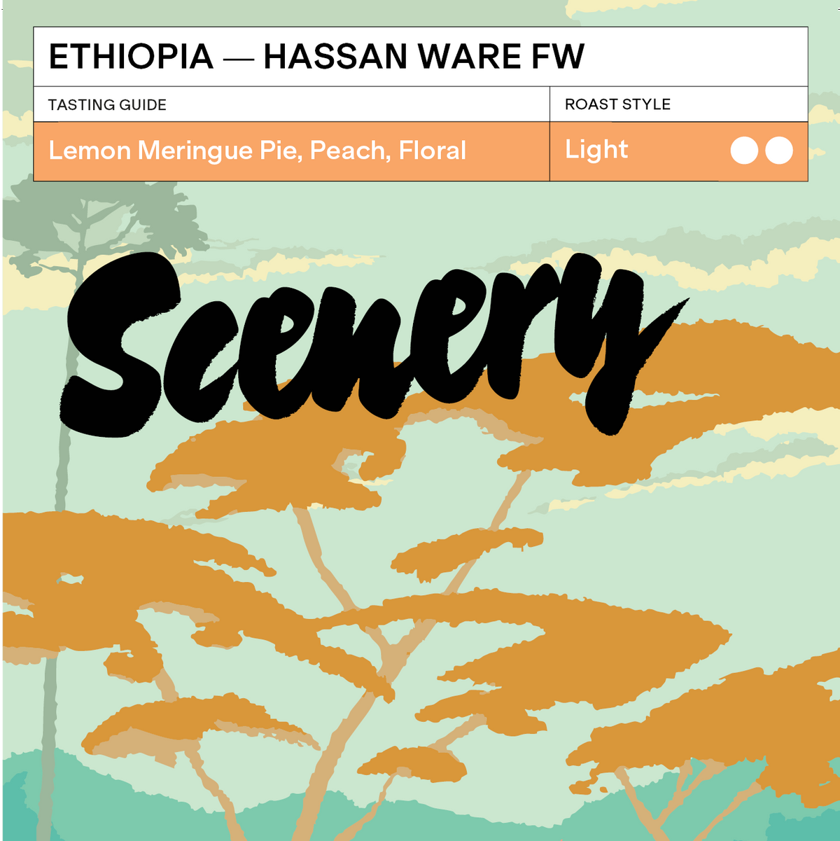 Ethiopia - Hassan Ware FW