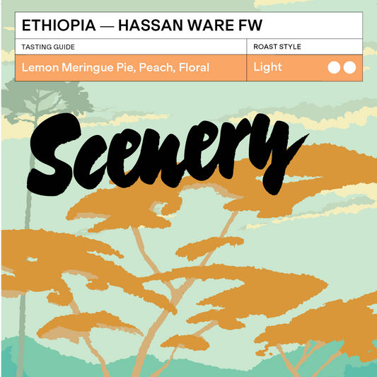 Ethiopia - Hassan Ware FW