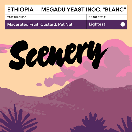 Ethiopia - Megadu Yeast Inoculated Natural "Blanc" Lot-B (100g)