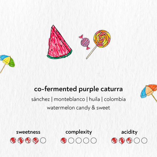 Sandbox - Watermelon Co-fermented Purple Caturra