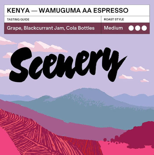 Kenya - Karumandi AA